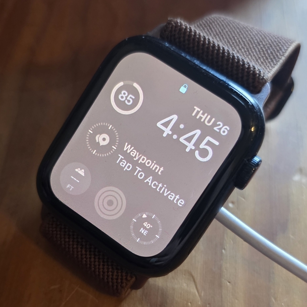 Apple Watch SE 44mm with Brown Band
